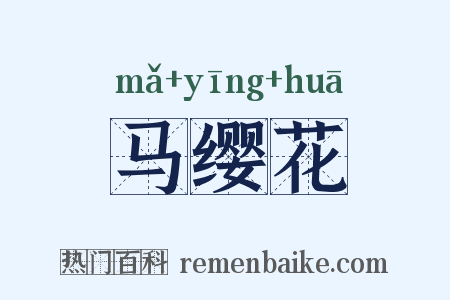 马缨花是什么意思的图片